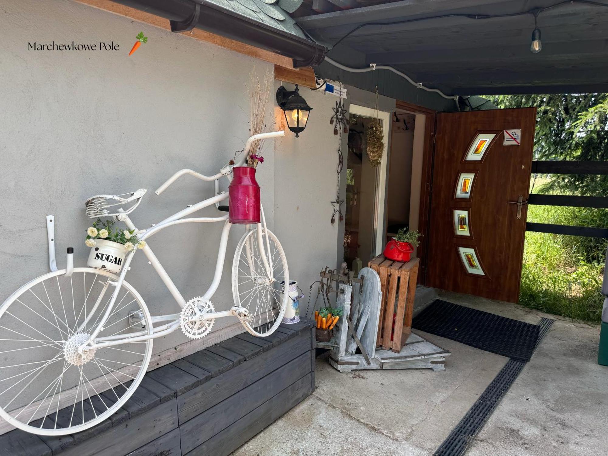 Marchewkowe Pole Villa Sosnina Ngoại thất bức ảnh